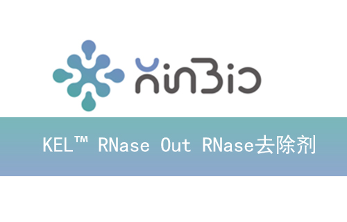 KEL™ RNase Out RNase去除剂